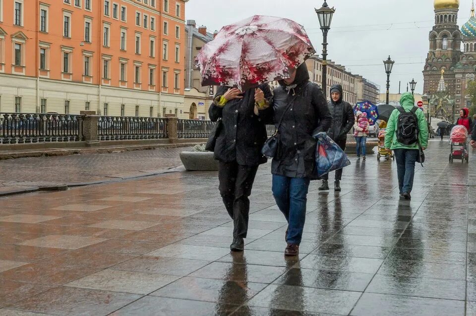 Какой сейчас ветер в петербурге. Ветер в питере. санкт-петербург люди. дождь в петербурге. в питере ноябрь люди.