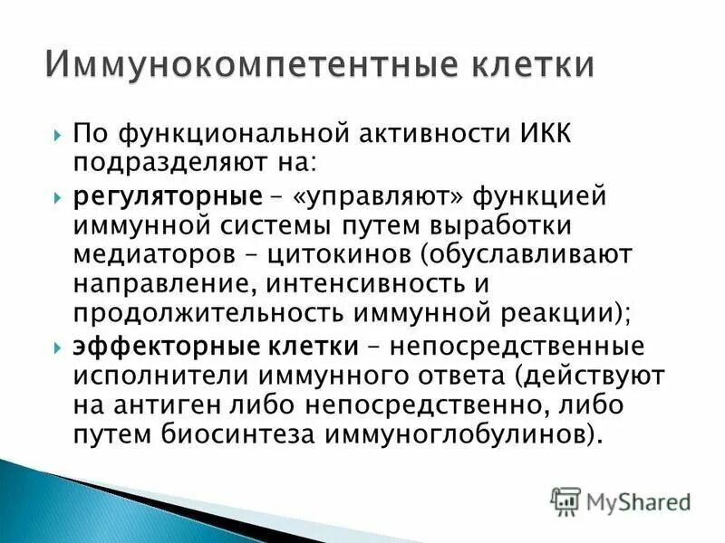 характеристика иммунокомпетентных клеток