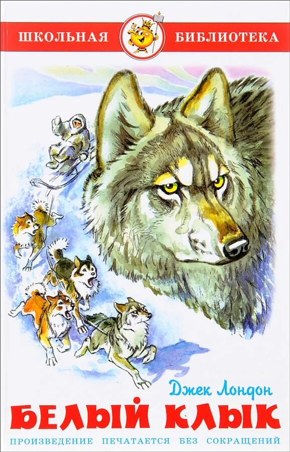 Автор рассказа белый. А. Произведение куприна белый пудель 6 класс. Белый пудель куприн иллюстрации. Куприн "белый пудель".