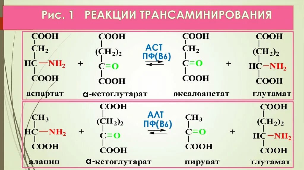 Аланин кислота реакция. Трансаминирования Альфа-аланина. Реакция трансаминирования аспартатаминотрансфераза реакция. Реакции трансаминирования Альфа-аланина. Трансаминирования аспартата.