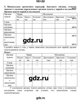 Параграф 44 география 6 класс