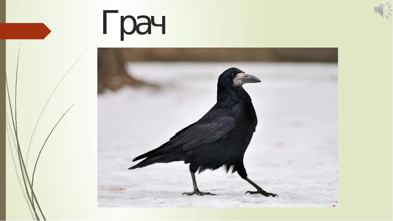 Этот текст размыт и вы не сможете его прочитать.
