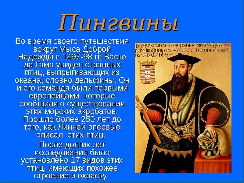 1498 год васко да гама открыл. Васко да гама факты. Сообщение о васко да гама. Васко да гама интересные факты. 5 интересных фактов о васко да гама.