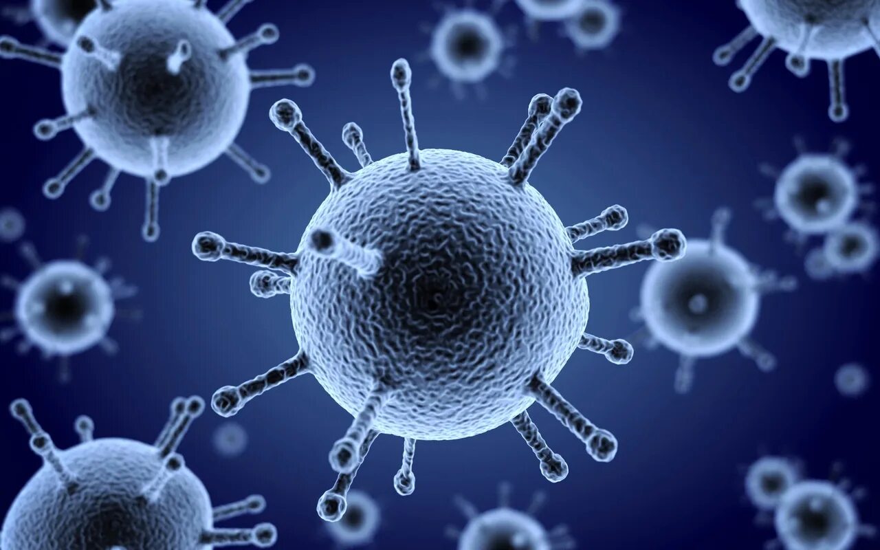 Flu virus