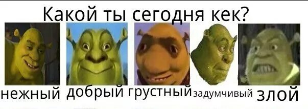 Какой ты сегодня. Что означает сас. Шрек кек. Что означает сас. Сас в медицине.