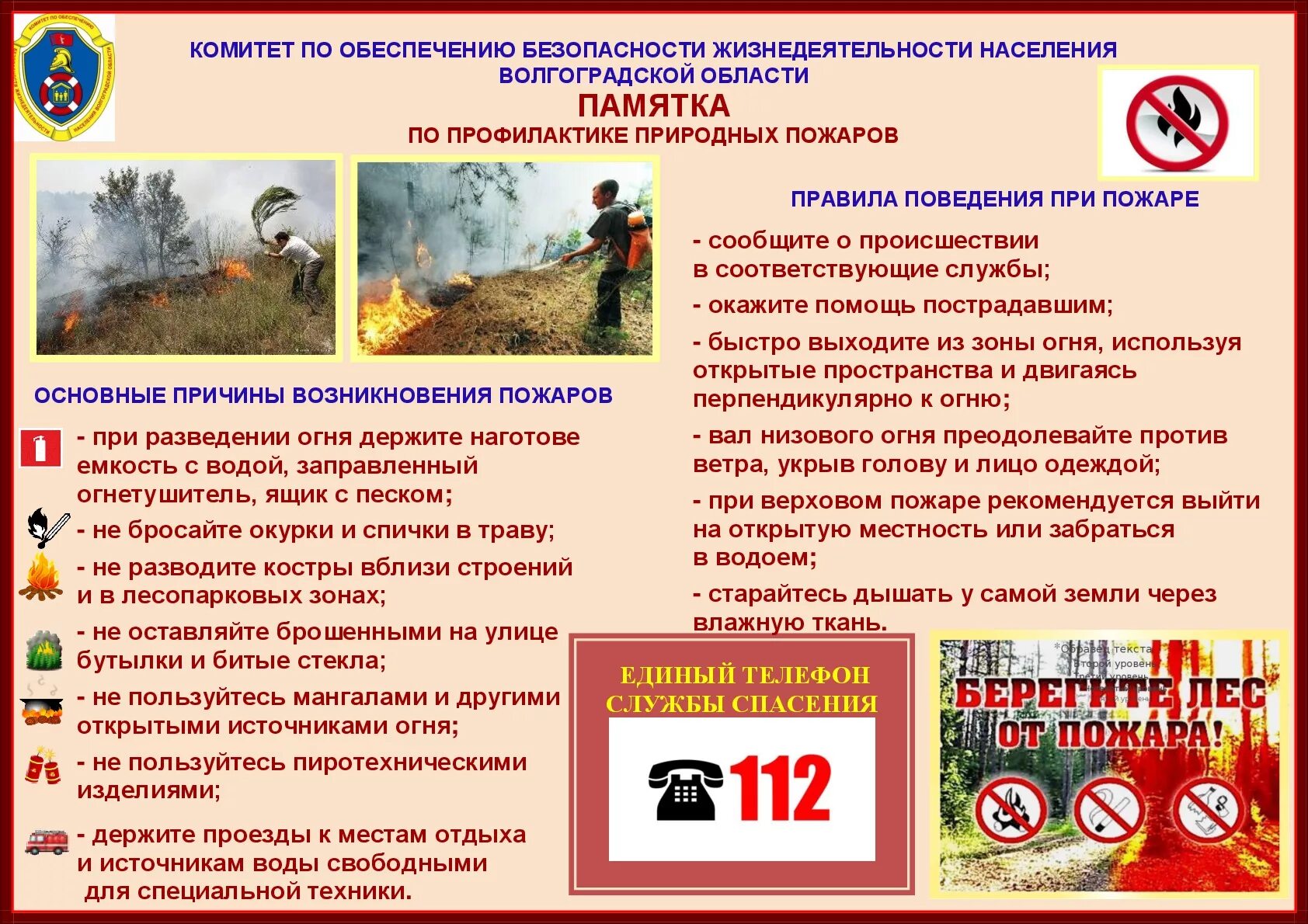 памятка по профилактике пожаров в лесу. правила пожарной безопасности в лесу. превентивная работа по предупреждению пожаров. памятка по пожарной безопасности в лесу. профилактика природных пожаров.