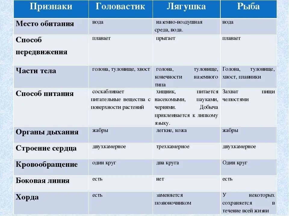 Рыбы амфибии рептилии таблица. Таблица по биологии 7 класс сравнительная характеристика рыб. сравнение рыб и земноводных таблица. сравнительная характеристика рыб и амфибий. строение рыб и земноводных таблица.