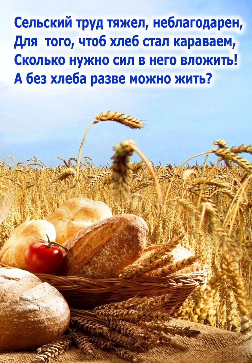 Поздравление с днем сельского хозяйства. С днем сельского хозяйства и перерабатывающей промышленности. Поздравление с днем сельского работника. Поздравление с днем сельского хозяйства. С днем сельского хозяйства и перерабатывающей промышленности.