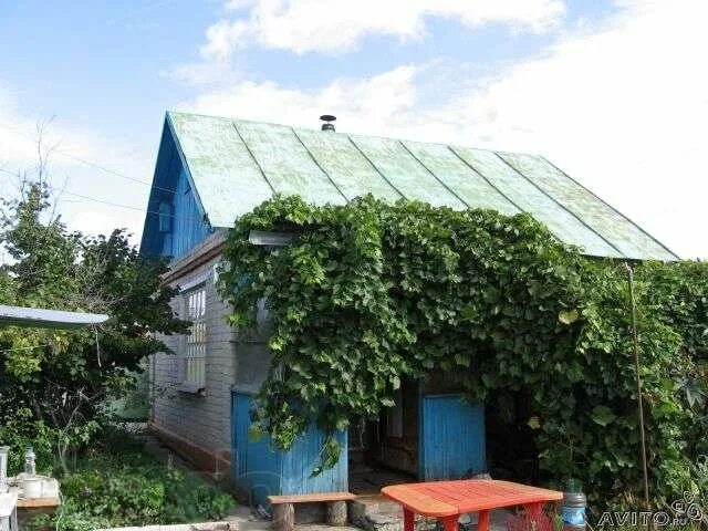 Снт колос красноармейск. Дача воронеж. Снт колос северодвинск. Снт дружба сергиев посад. Снт колос владимирская область.
