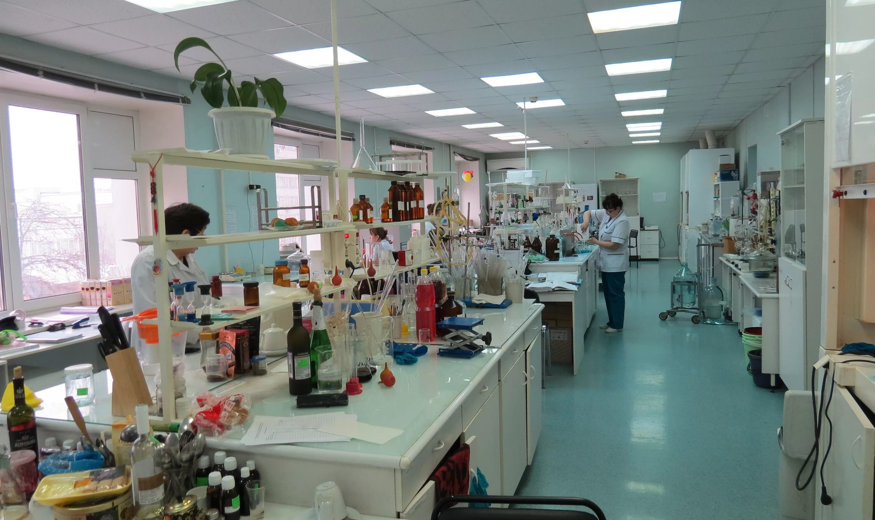 Куйбышева 50 пермь санитарная. Куйбышева 50 а пермь центр гигиены и эпидемиологии. Государственное юридическое бюро. Гигиена центр пермь. Куйбышева 50 а пермь центр гигиены и эпидемиологии.