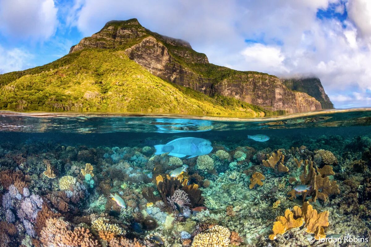 Прекрасные места риф. Нешенел джиографик. Океан National Geographic. Горы Океании. Natural geographic