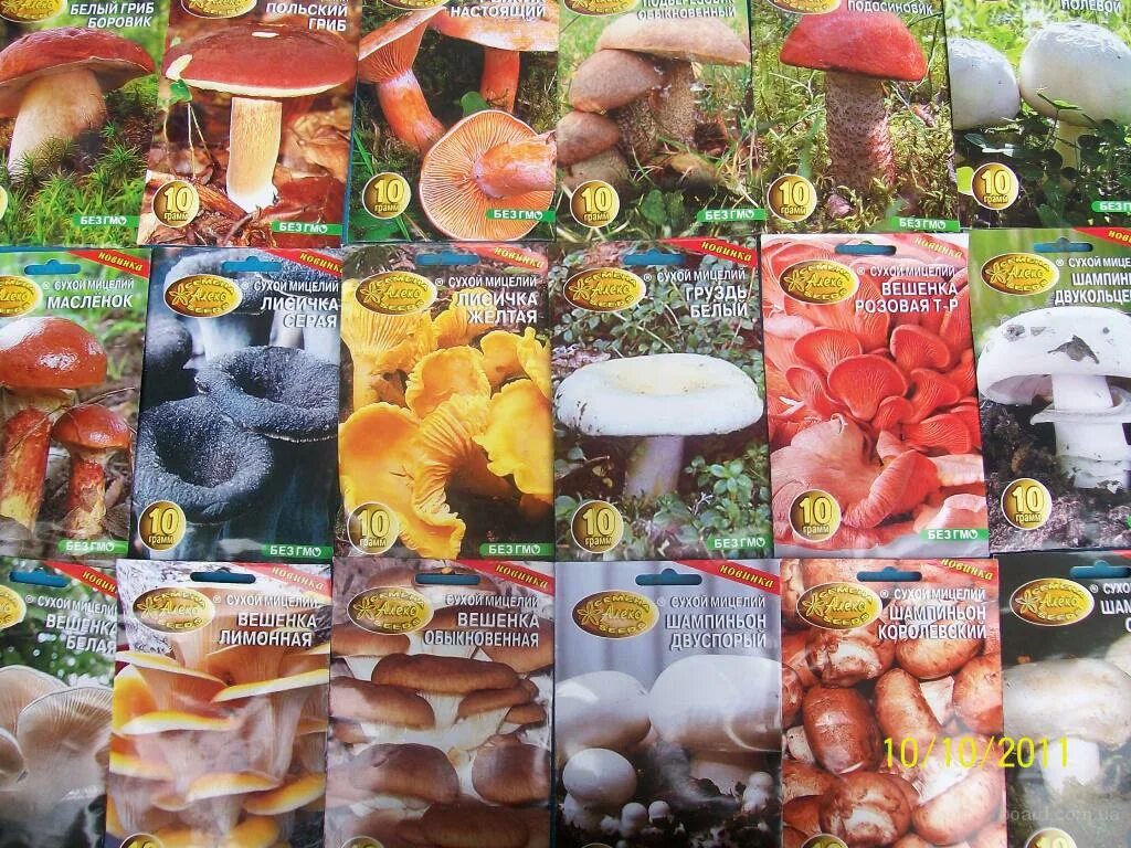 Грибы семечки. Мицелий подберезовик (60мл). Семена грибы вешенка. Мицелий грибов белый гриб, 60 мл, престиж. Грибы семечки.