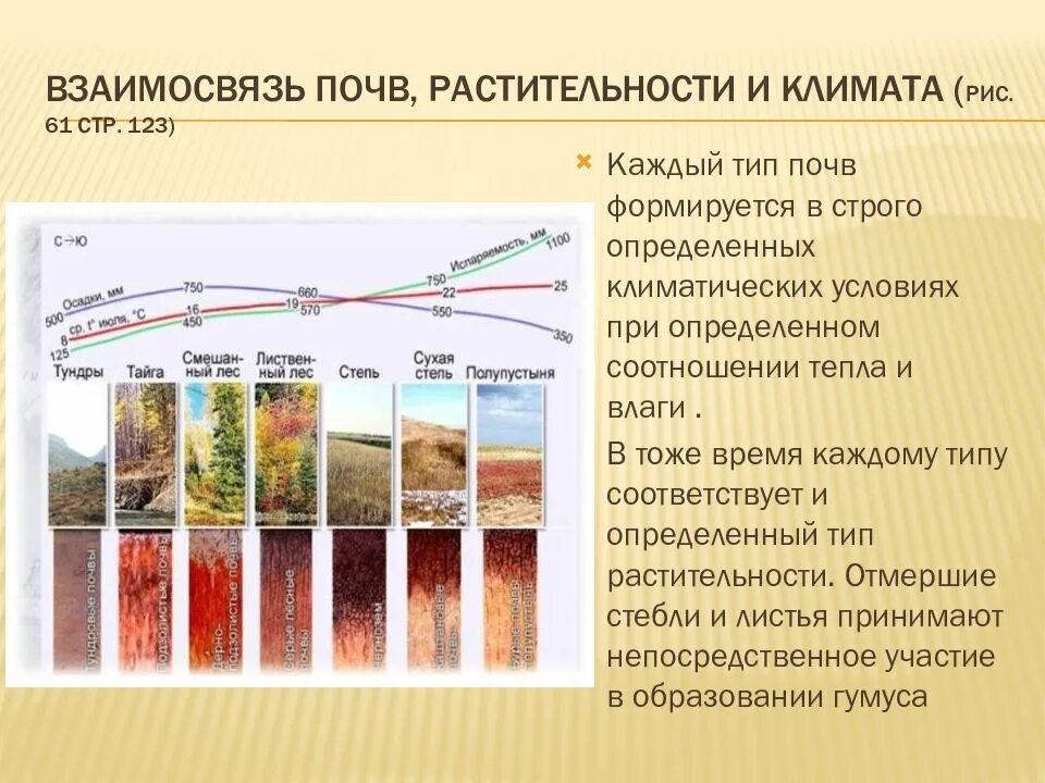 Подготовить короткое сообщение на тему закономерности распространения. Почвенно растительный покров. закономерности распространения почв. закономерности распространения почв россии. закономерности распространения почв 8 класс.