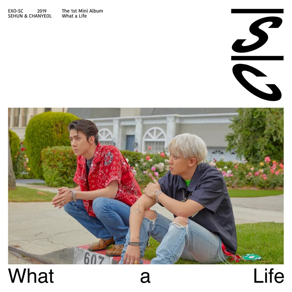 What a life перевод. EXO SC what a Life. EXO SC. EXO SC what a Life обложка альбома. What a Life обложка.