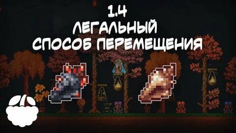 Террария ракушка