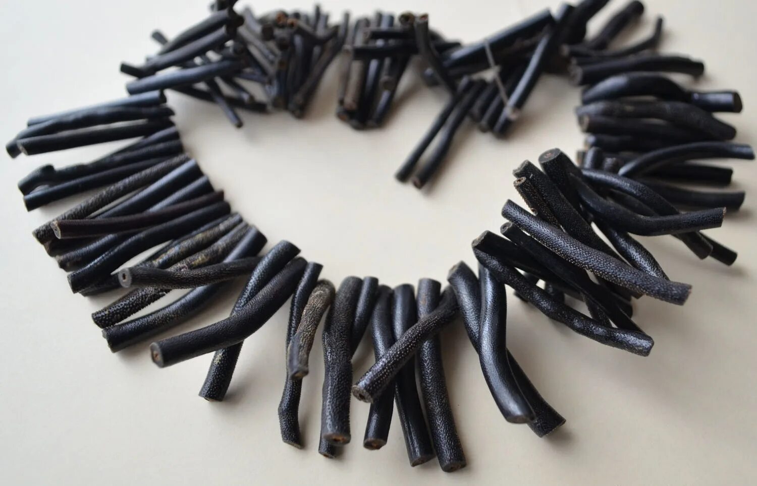 Черный коралл украшения. Купить коралл хищник со створками. Черный коралл кишечнополостные. Акбар коралл. Черные кораллы с кубы.