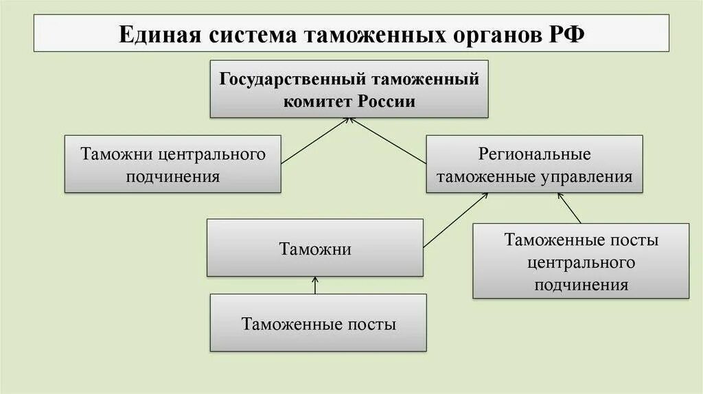 Таможенную систему составляет