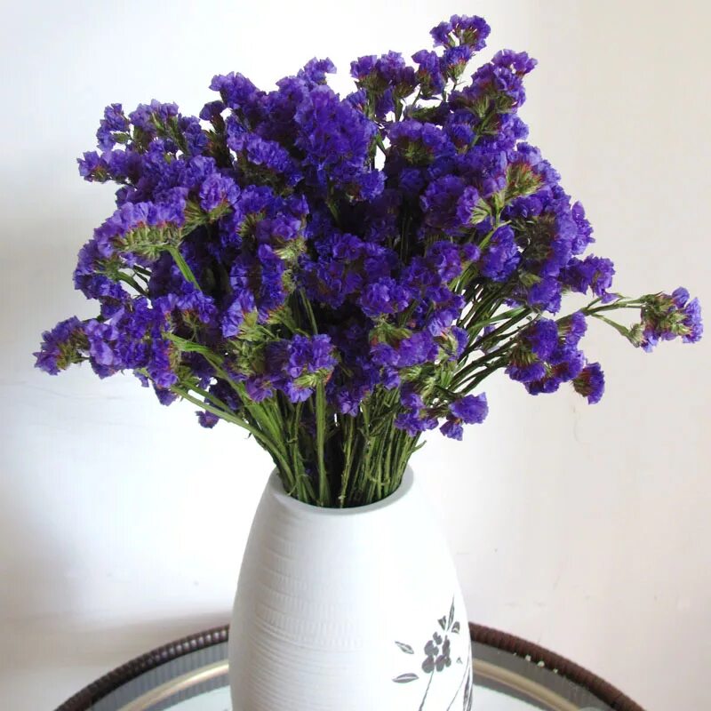 сухоцвет вейник. сухоцветам нужна вода. протея сухоцвет. яркие композиции из сухоцветов. скимия сухоцвет.