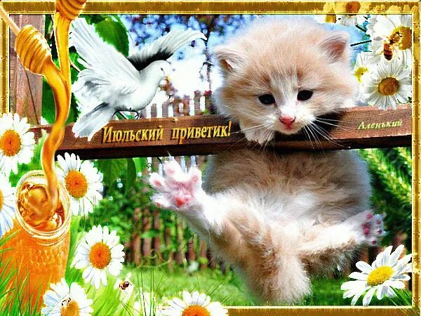 Поздравления с первым июля. С первым днем июля. Июльский привет открытки. Открытки с летом красивые. Июльский приветик картинки.