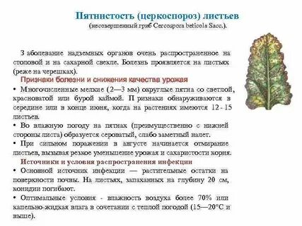 Методы учета болезней