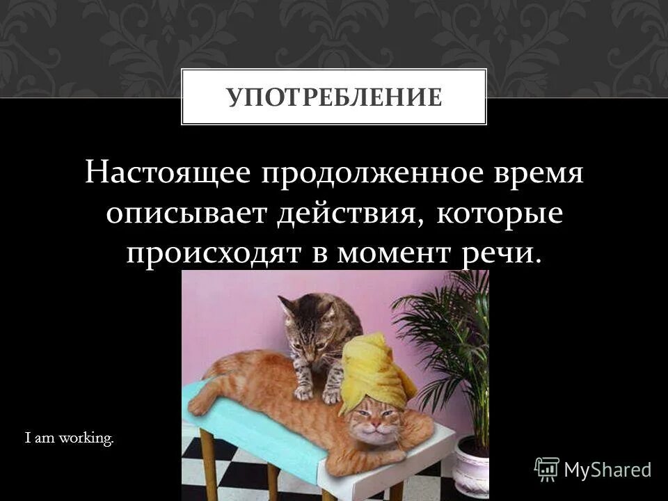 где происходит действие описываемых. стих где происходит действие. время место действие.