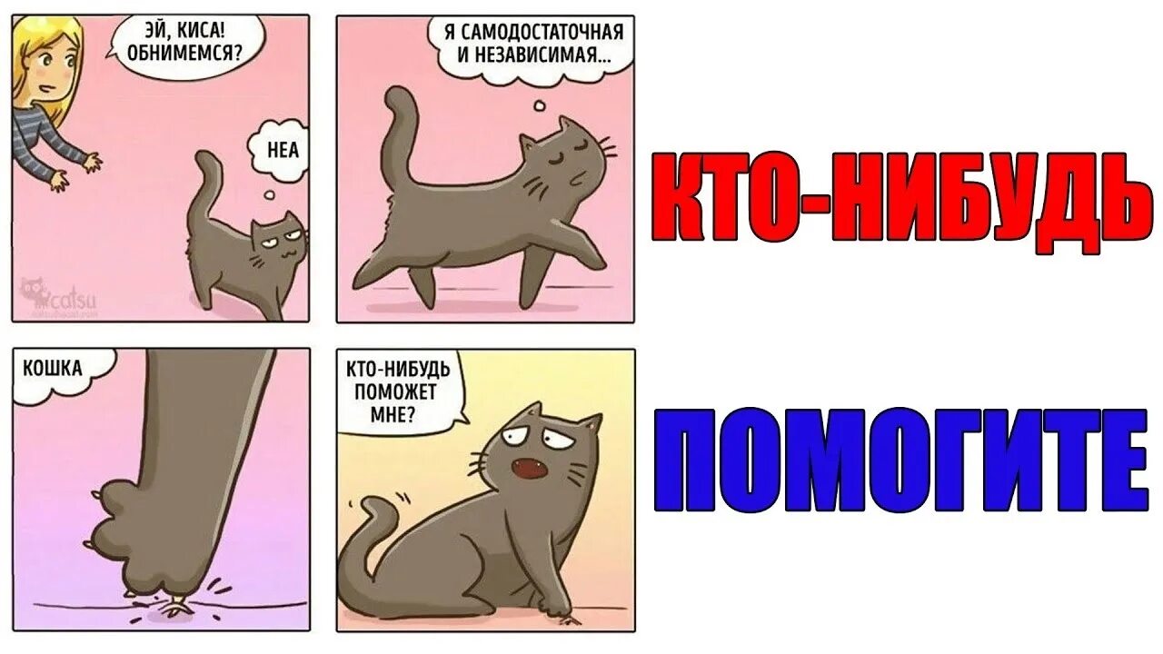 Может кто нибудь поможет