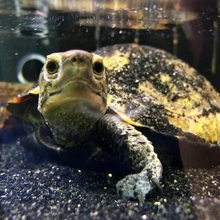 Водная ч