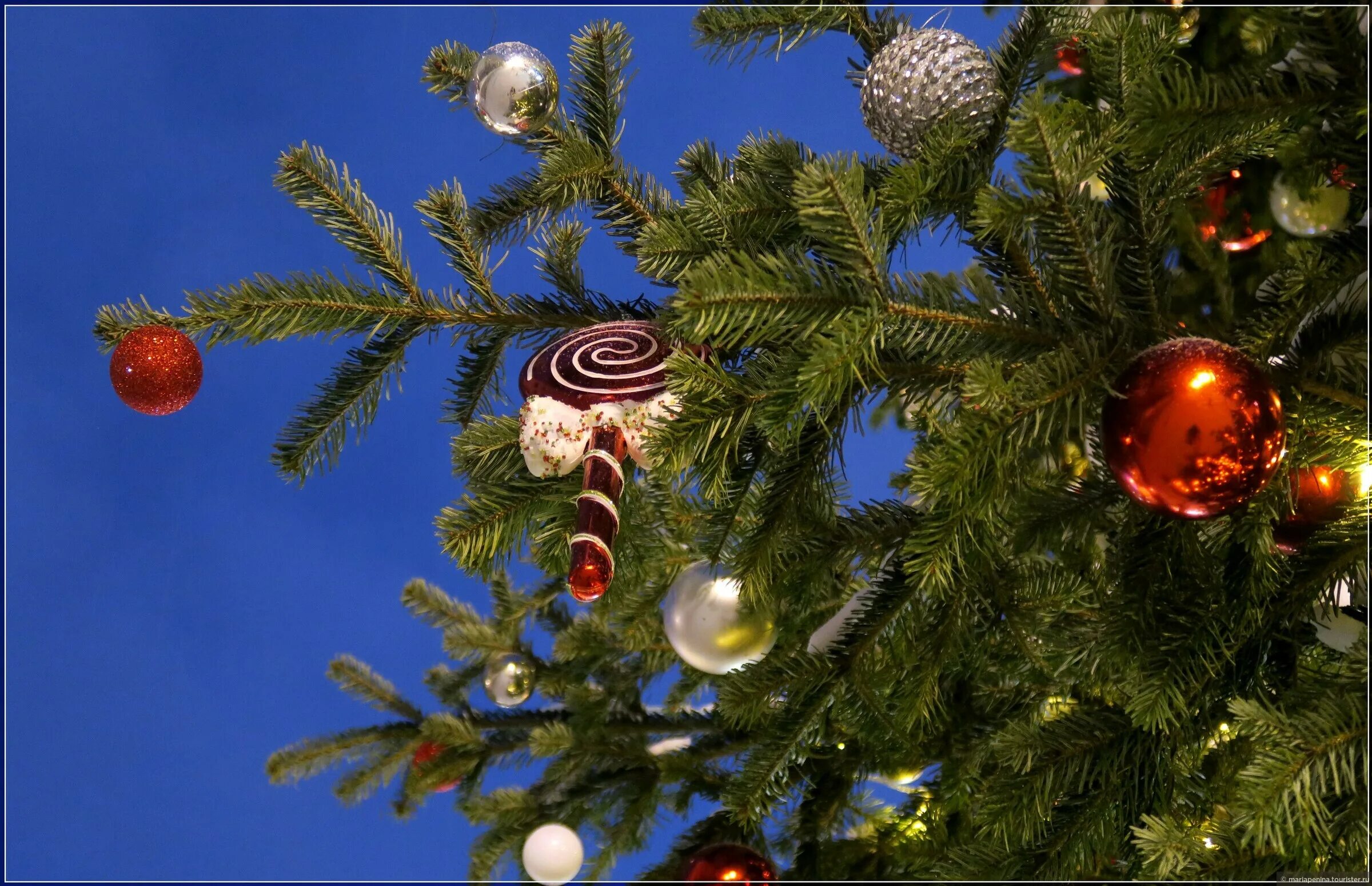 звезды новый год развесил песня слушать. хлопушка на елку. слова песни новый год развесил. слова песни пляшут белки пляшут зайцы текст. звезды новый год развесил на веселой елке.