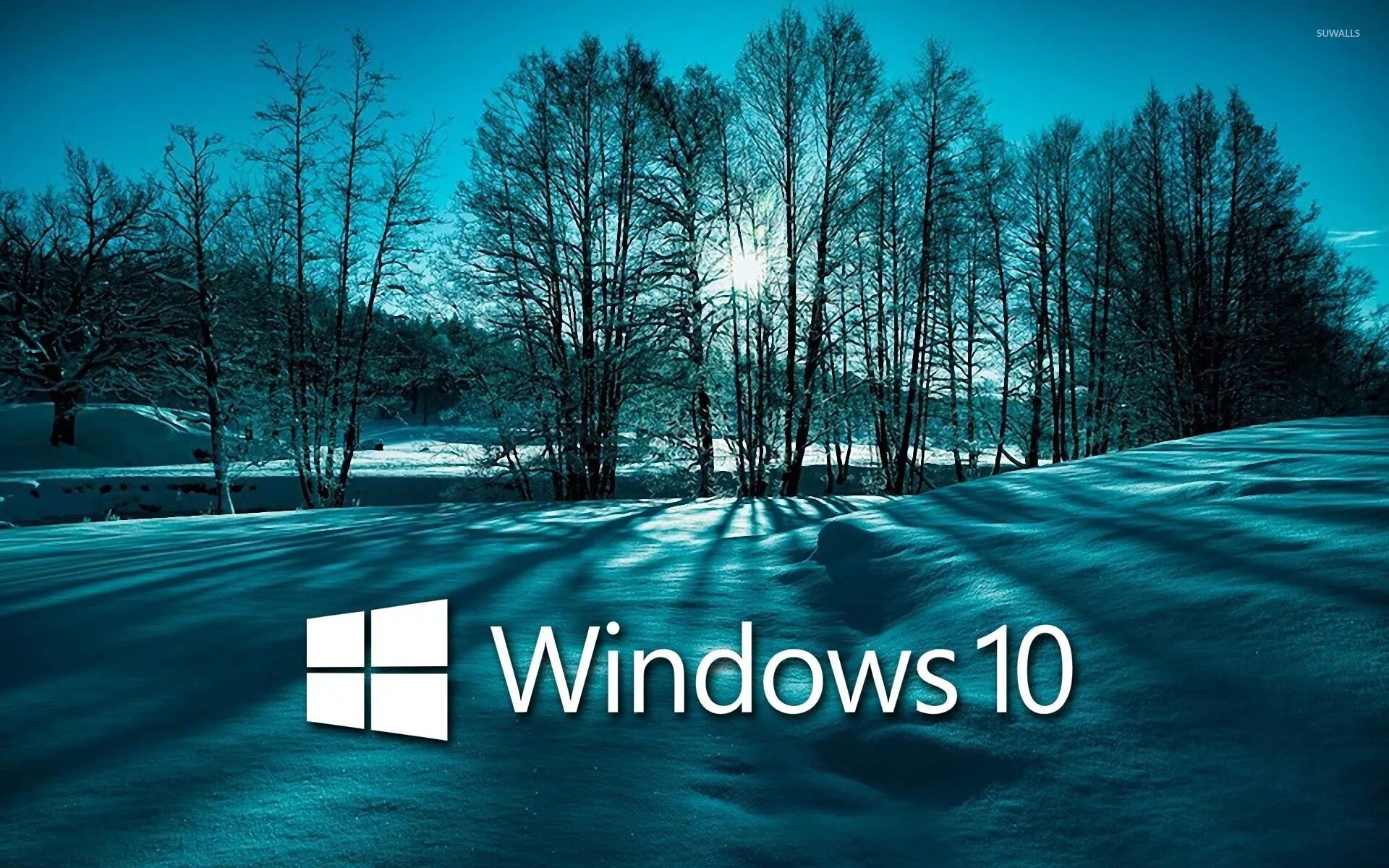 Best themes. Фон виндовс 10. Фото виндовс 10. Рабочий стол Windows 10. Картинки на рабочий стол виндовс 10.