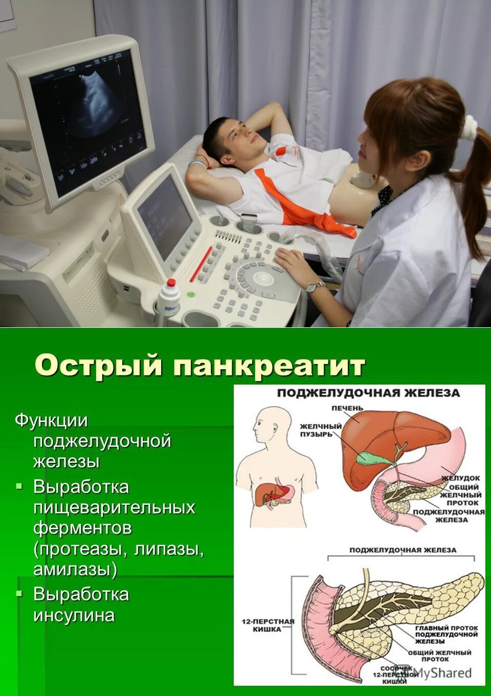 Что означает диффузные изменения поджелудочной железы. Паренхима-УЗИ поджелудочной железы. Диффузные изменения поджелудочной железы. Diffuznye izmeneniya podzheludochnoi zhelezy. Изменения паренхимы поджелудочной железы.