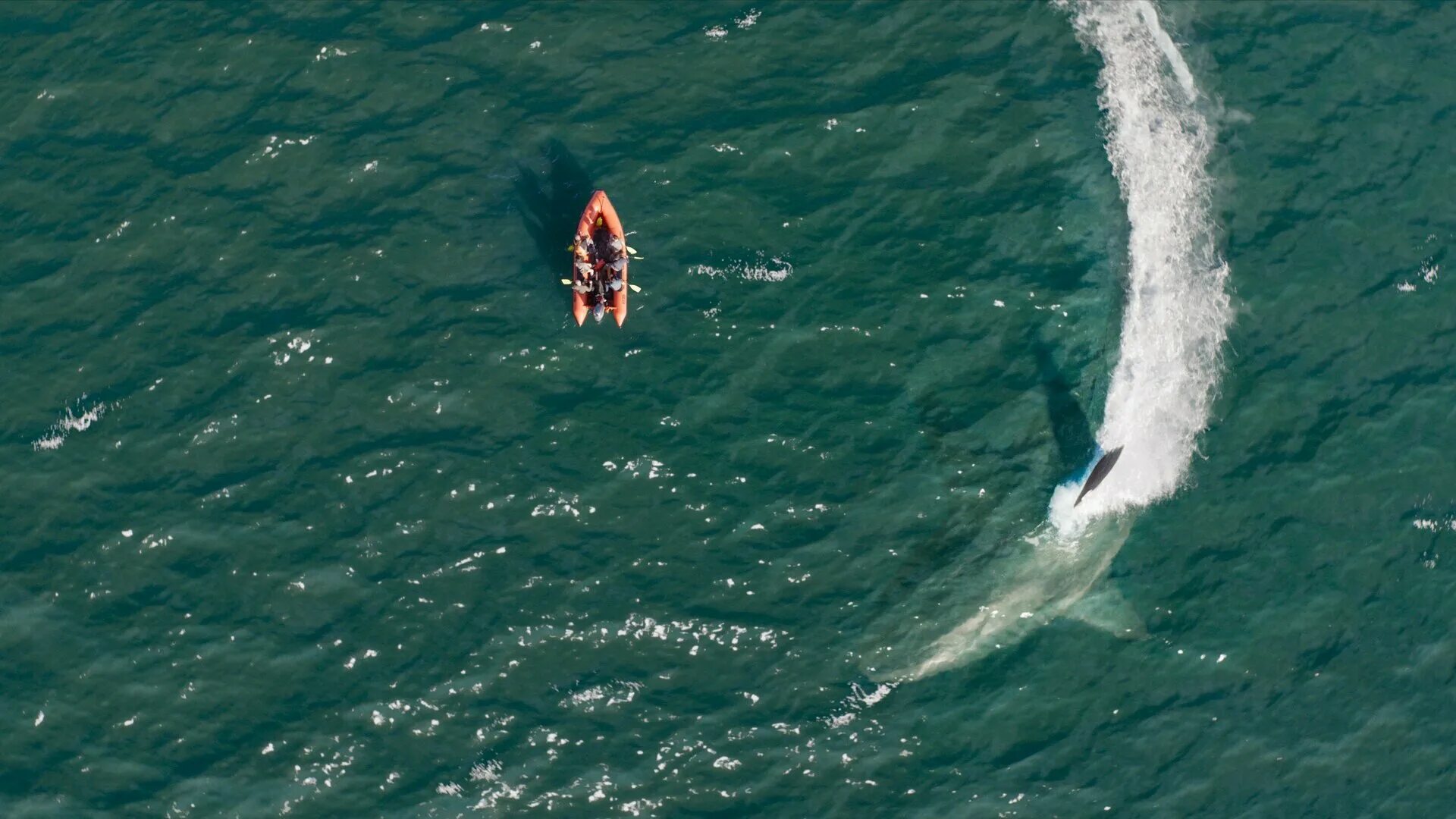 мэг монстр глубины 2. мег 2 бездна убегает по контейнерам. мег2 бездн. мэг 2. мегалодон 2 бездна мег.