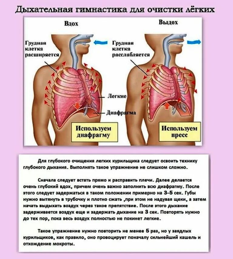 Как восстановить легкие в домашних условиях. Гимнастика для лёгких и бронхов дыхательная. Дыхательнаямгимнастика. Дыхательные упражнения для легких. Упражнения на дыхание для легких.