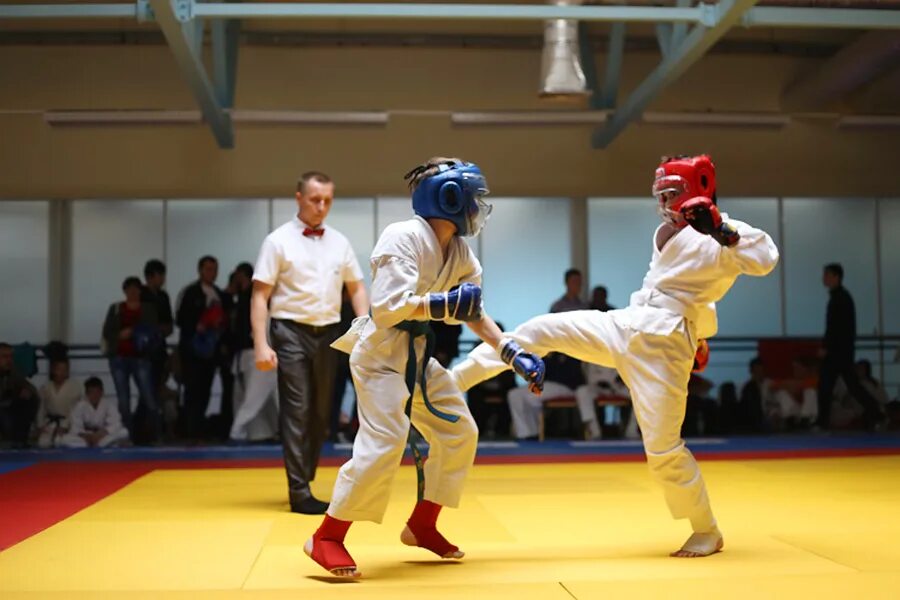 Федерация всестилевого каратэ. Всестилевое каратэ дети. Федерация всестилевого каратэ. Всестилевое каратэ шотокан. Международная федерация всестилевого каратэ.