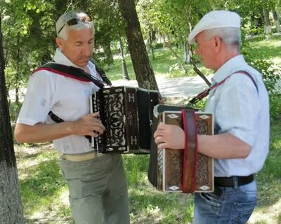 Братья гармонисты