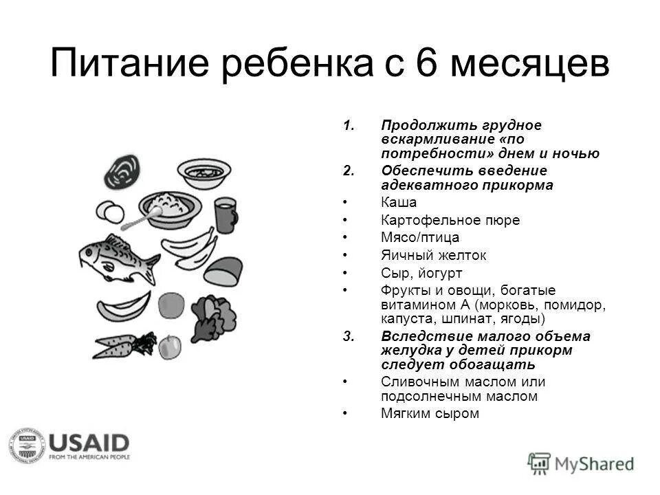 Еда ребенка в 7 месяцев. Еда ребенка в 7 месяцев