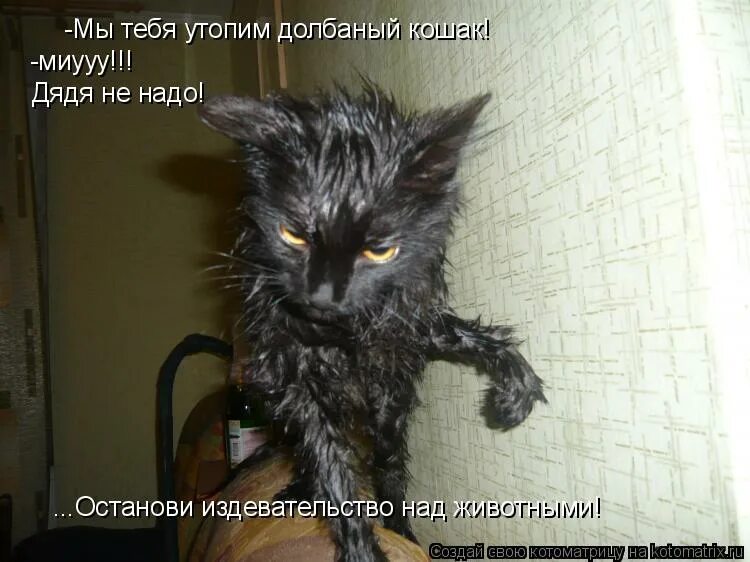 не надо издеваться над