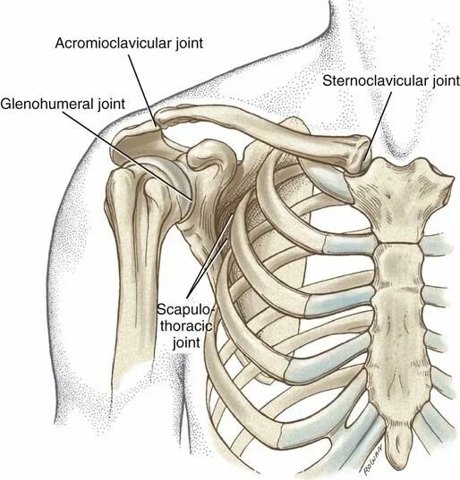 Broken Collarbones Why Clavicle Fractures are now repaired