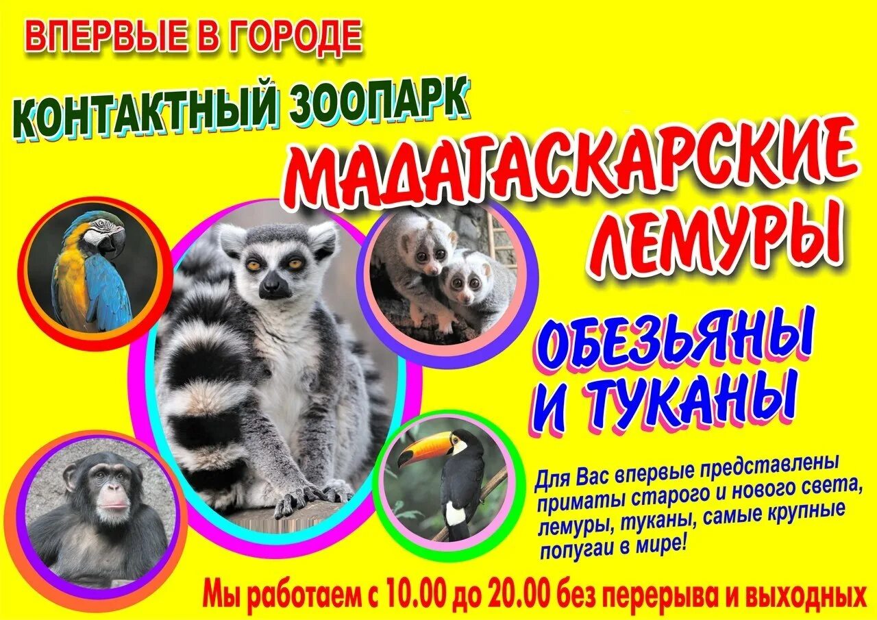 Выставка зоопарк животных. Контактный зоопарк. реклама зоопарка. реклама контактного зоопарка. выставка животных.