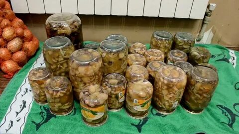 Соленые моховики рецепт
