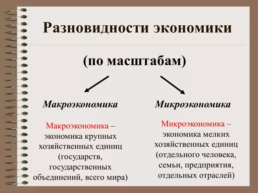 Понятие макроэкономики и микроэкономики. Что изучает микро и макроэкономика. Что относится к макроэкономике и микроэкономике. Понятие микро и макроэкономики.