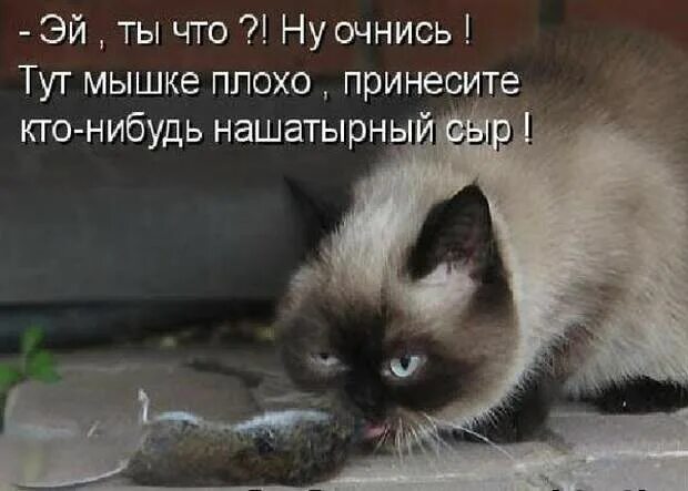 Убери говорю