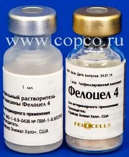 Вакцина фелоцел инструкция