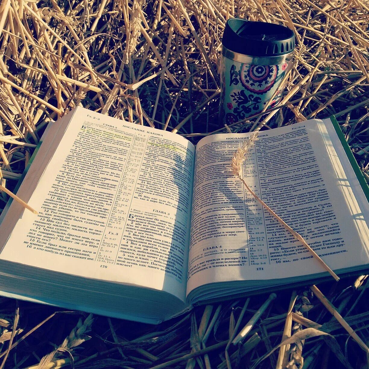 Чтение Библии. Чтение Библии вместе. Вместе изучаем Библию. Библия на фоне природы.