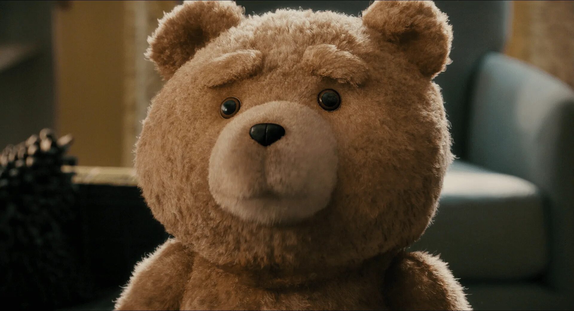 Третий лишний медведь Тед. Тед 3 лишний 3. Третий лишний 2.
