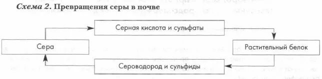 Движение серы в почве. Нитратная форма азота для растений это. Круговорот азота в природе. Схема круговорота железа. Схема биологического цикла азота.