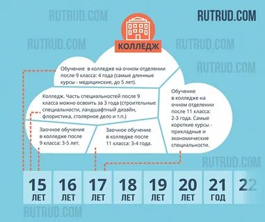 Сколько часов должны учиться студенты