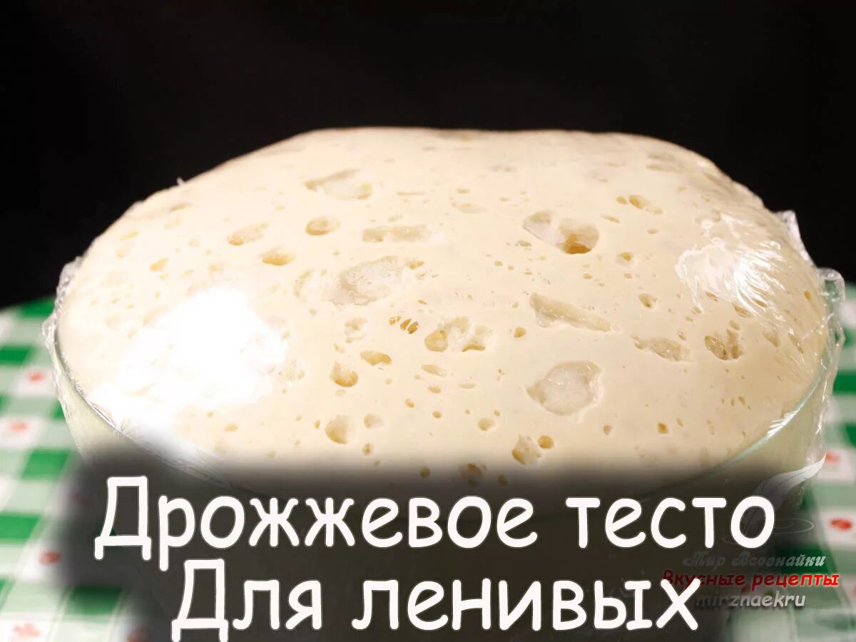 Тесто для ленивых. Тесто дрожжевое в пакете. Тесто для ленивых. Тесто в блендере для пельменей. Тесто пирожковое дрожжевое.