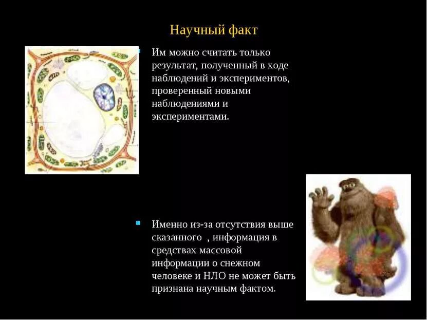 Научный факт это в философии. Расскажи научный факт. Расскажи научный факт. Научные факты о науках. Интересные научные факты.
