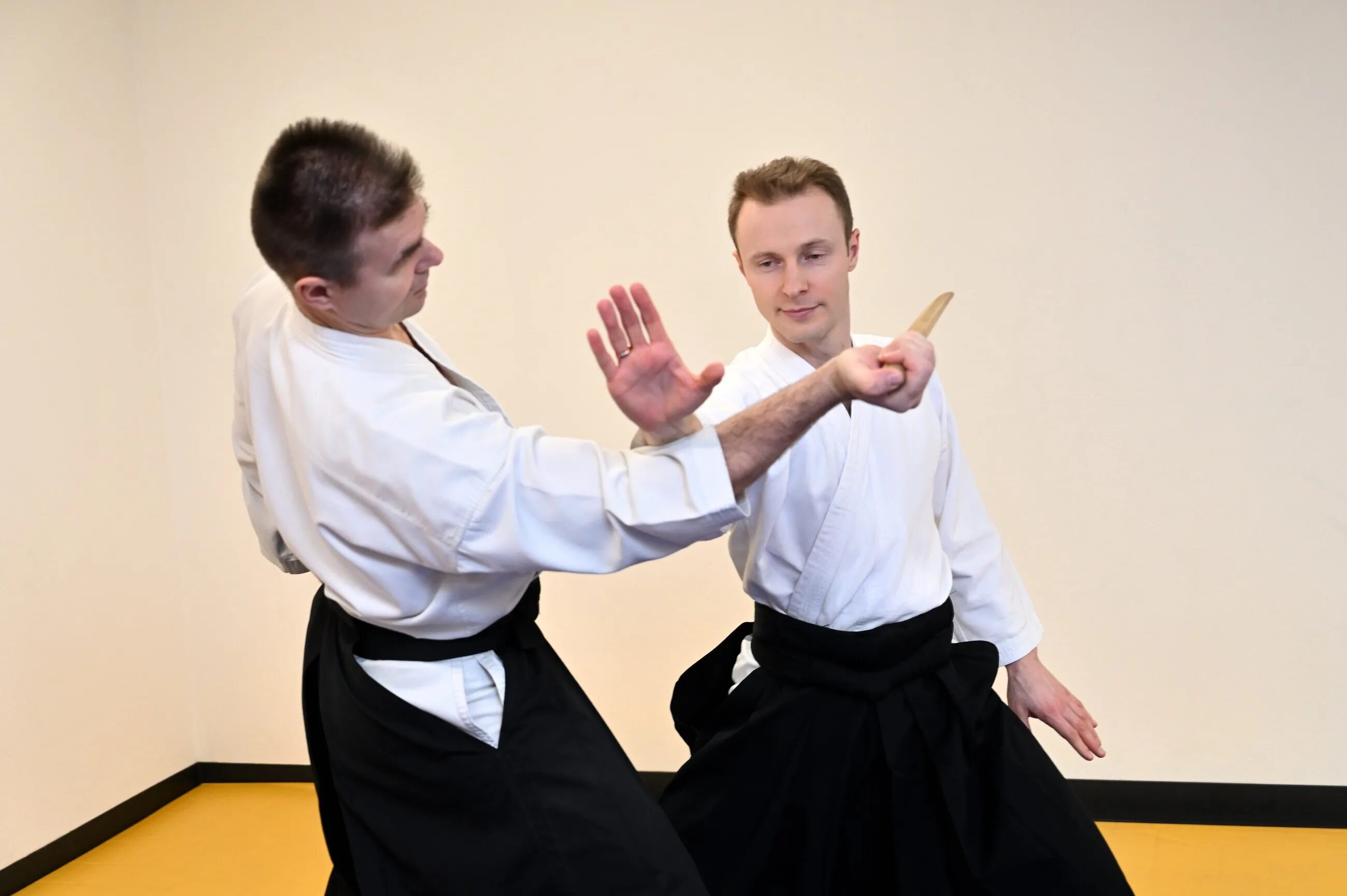 Айкидо для начинающих взрослых видео уроки. Алексей морозов айкидо. Айкидо для начинающих взрослых видео уроки. Вишняков михаил айкидо спб. Айкидо для начинающих взрослых видео уроки.