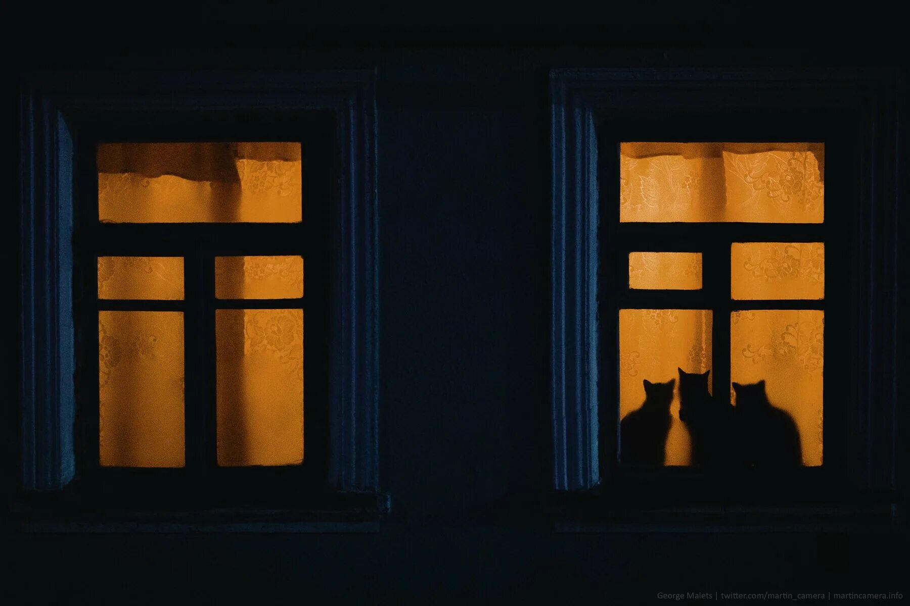 Синий вечер заглянул в мое окно. Ночные окна. Окно ночью. Ночное окно. Силуэт в окне.